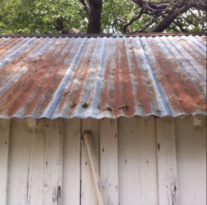 exterior services